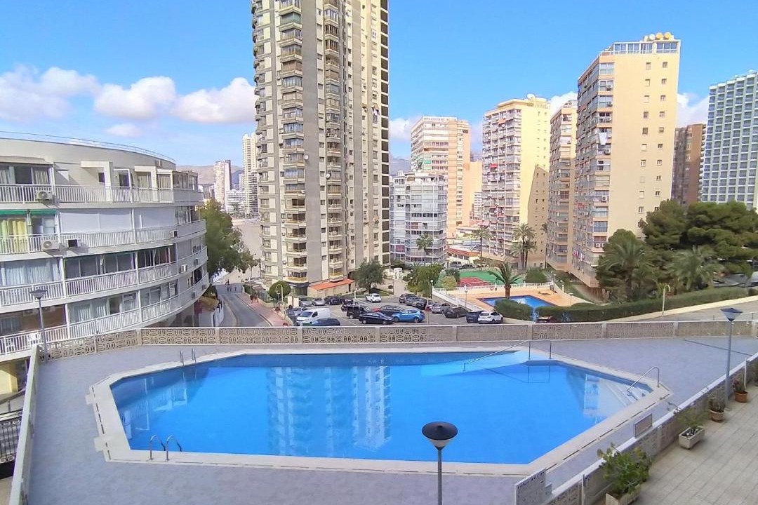 Photo of Others in Benidorm