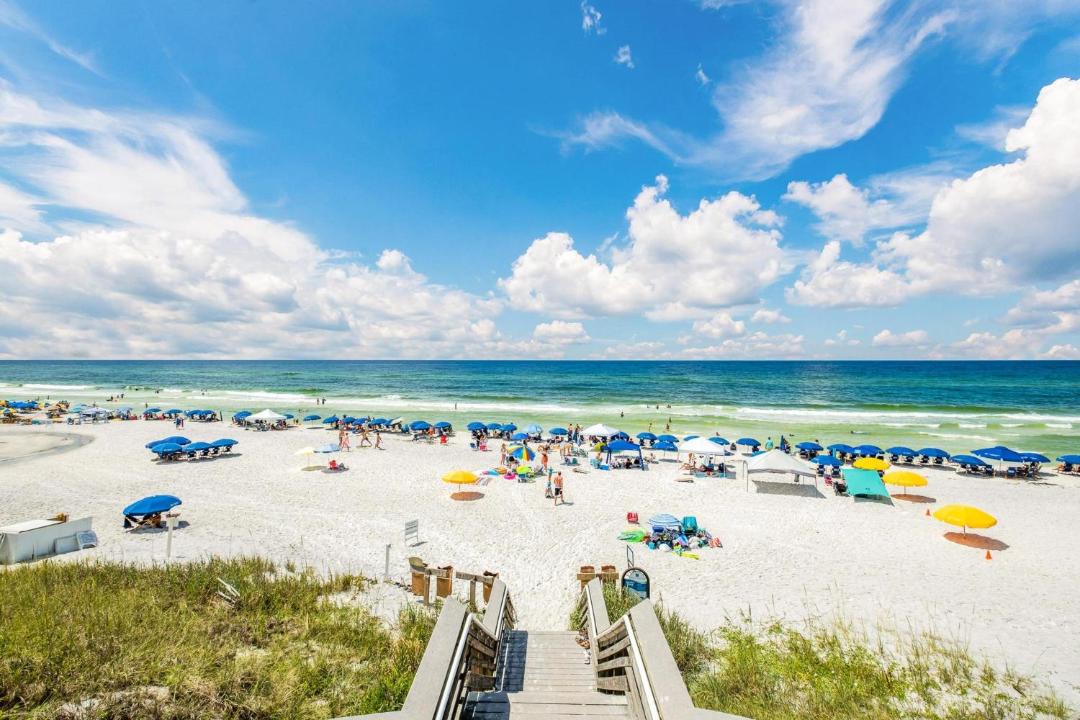 Photo of Others in Seagrove Beach