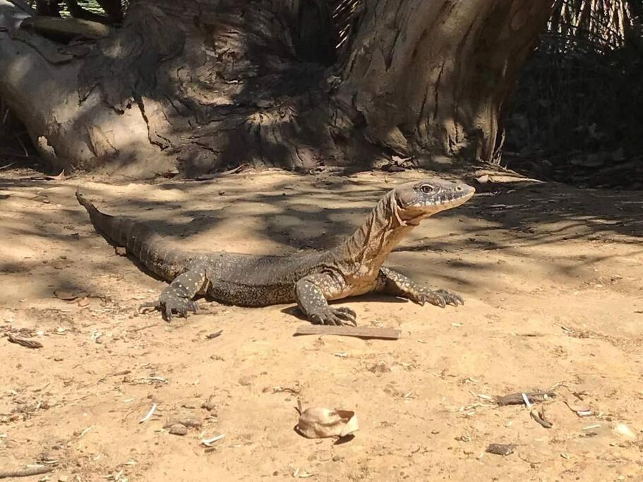Photo of Others in Seddon
