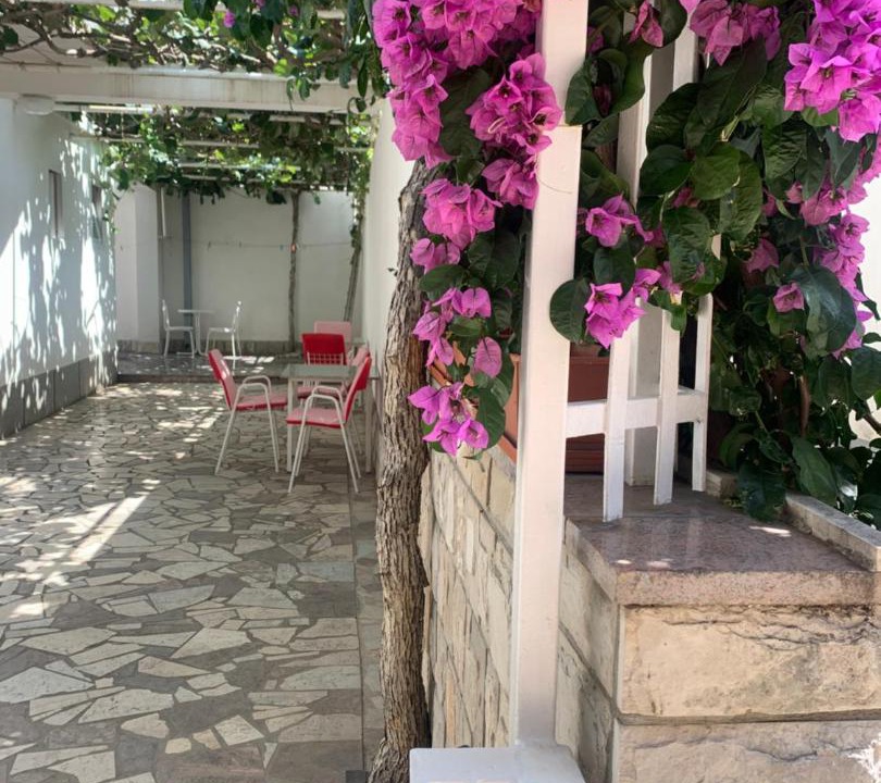 Photo of Others in Gradac