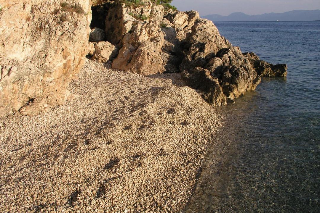 Photo of Others in Zivogosce