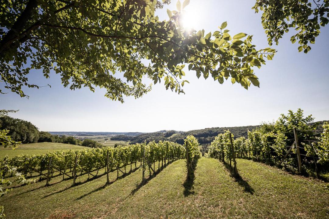 Photo of Outdoor in Welten