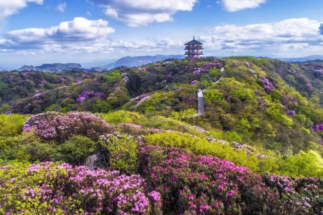 Photo of Outdoor in Nanchuan