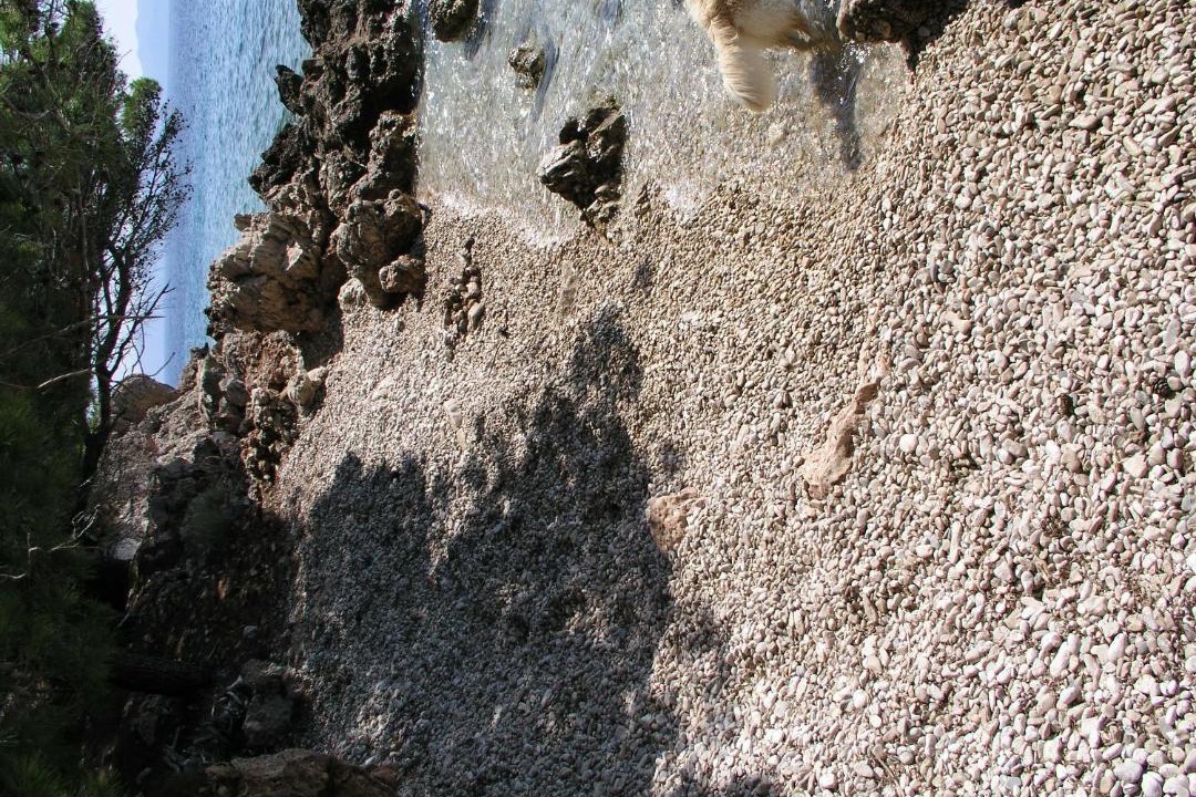 Photo of Others in Zivogosce