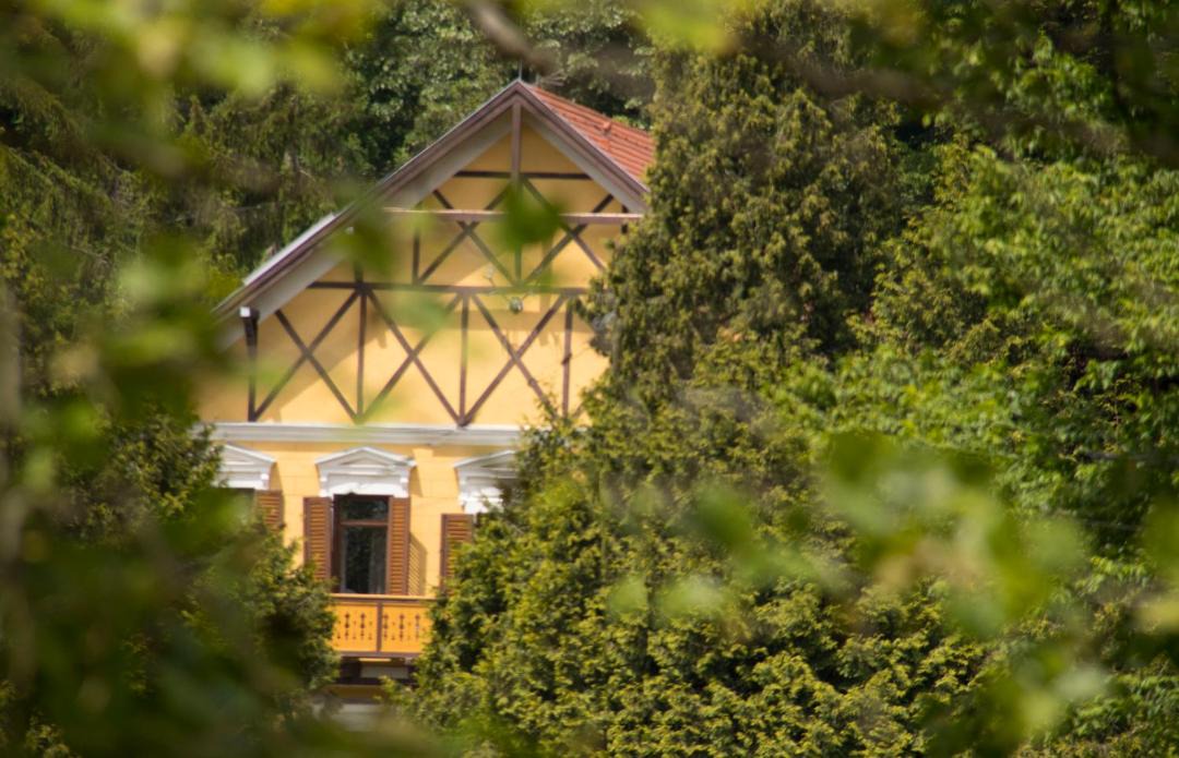 Photo of Buildings in Almamellek