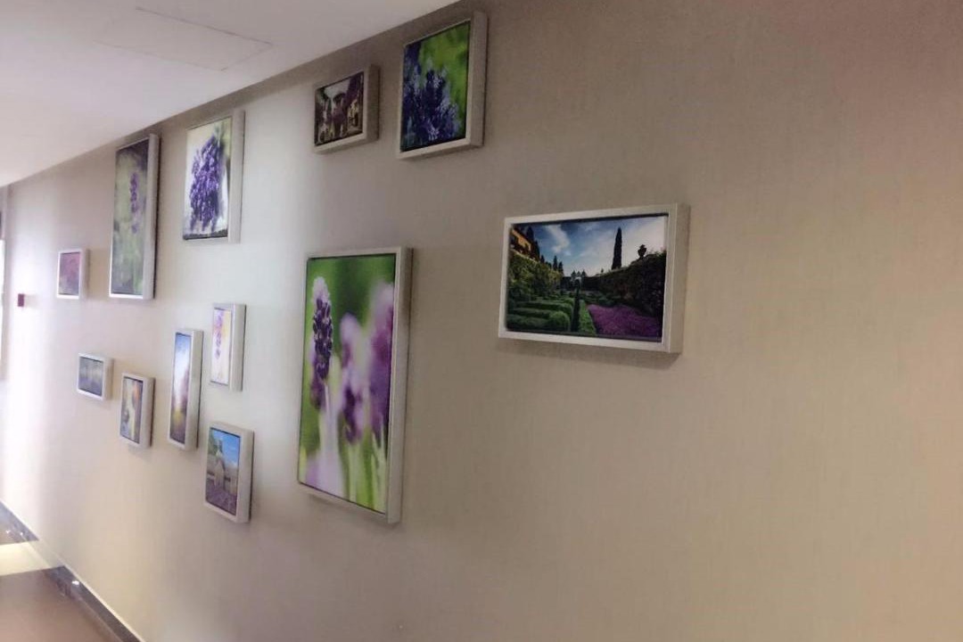 Photo of Livingroom in Gu Lou