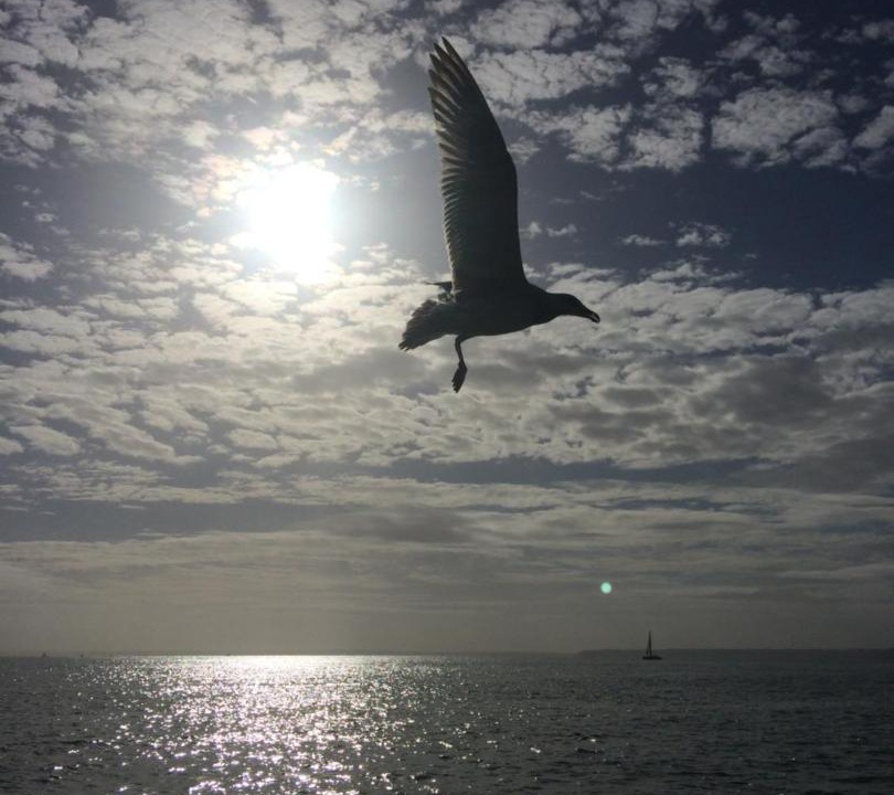 Photo of Outdoor in Etables-sur-Mer