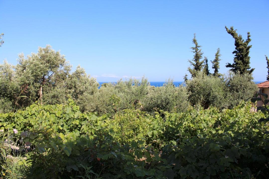 Photo of Outdoor in Pylos-Nestoras