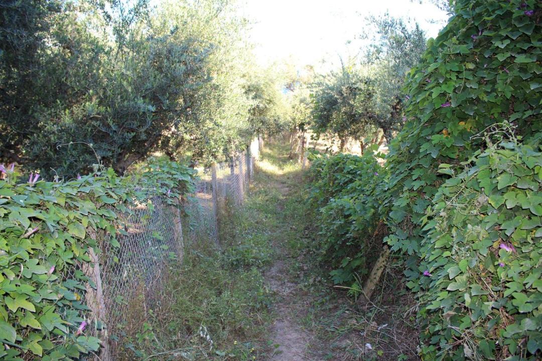 Photo of Outdoor in Pylos-Nestoras