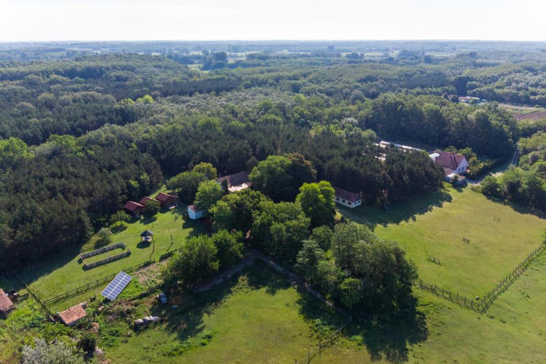 Photo of Outdoor in Asotthalom