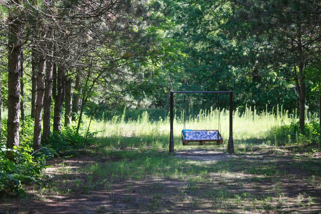 Photo of Outdoor in Asotthalom