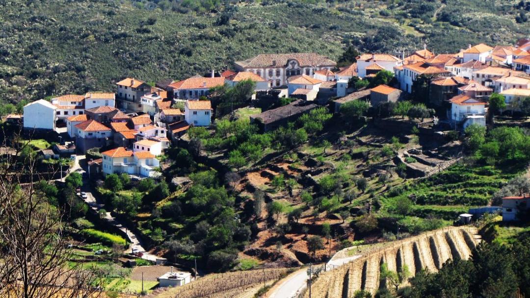 Photo of Others in Vila Nova de Foz Coa