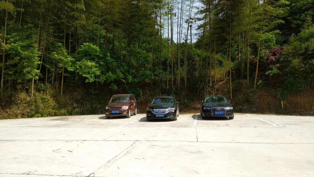 Photo of Others in Wulingyuan