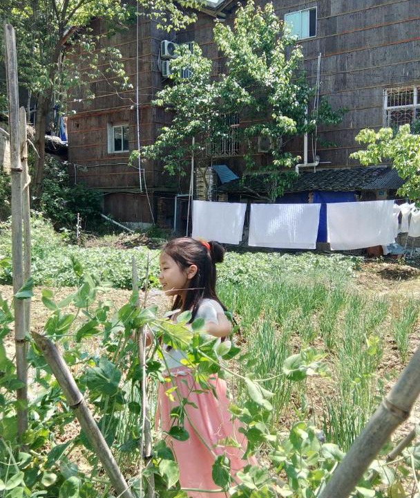 Photo of Others in Wulingyuan