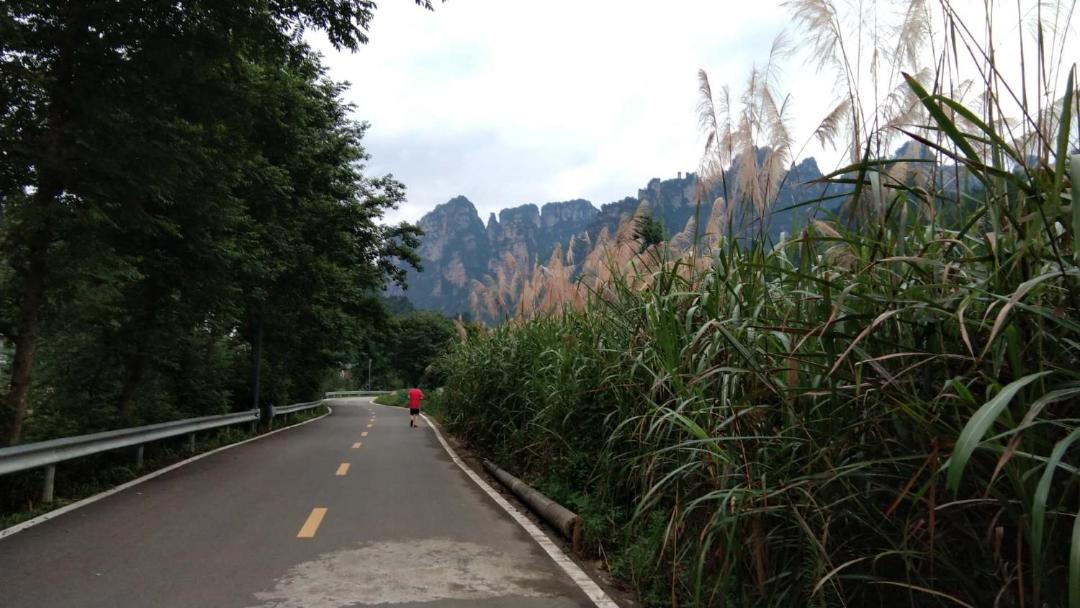 Photo of Others in Wulingyuan