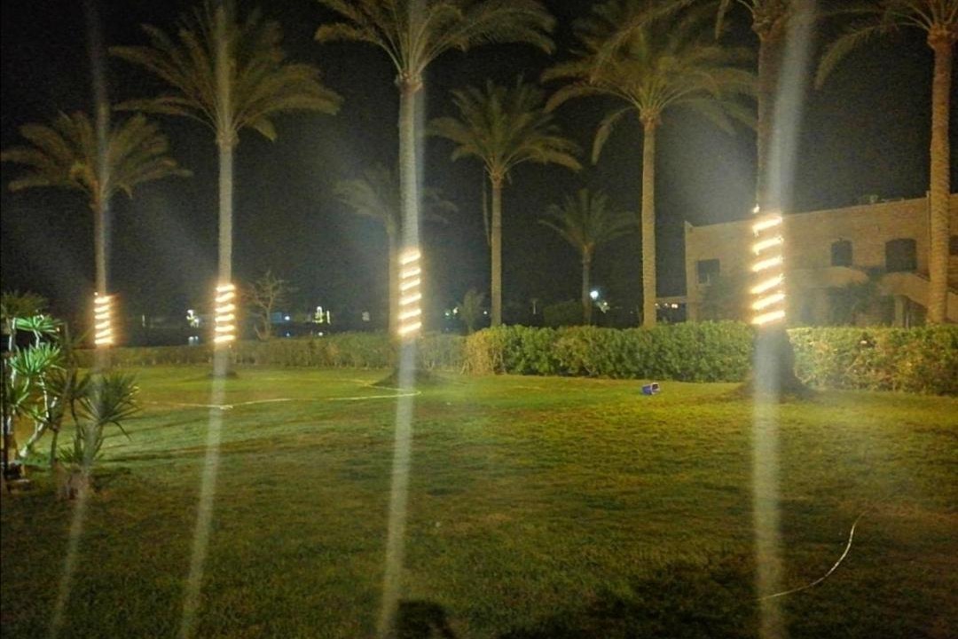 Photo of Others in Marina El Alamein