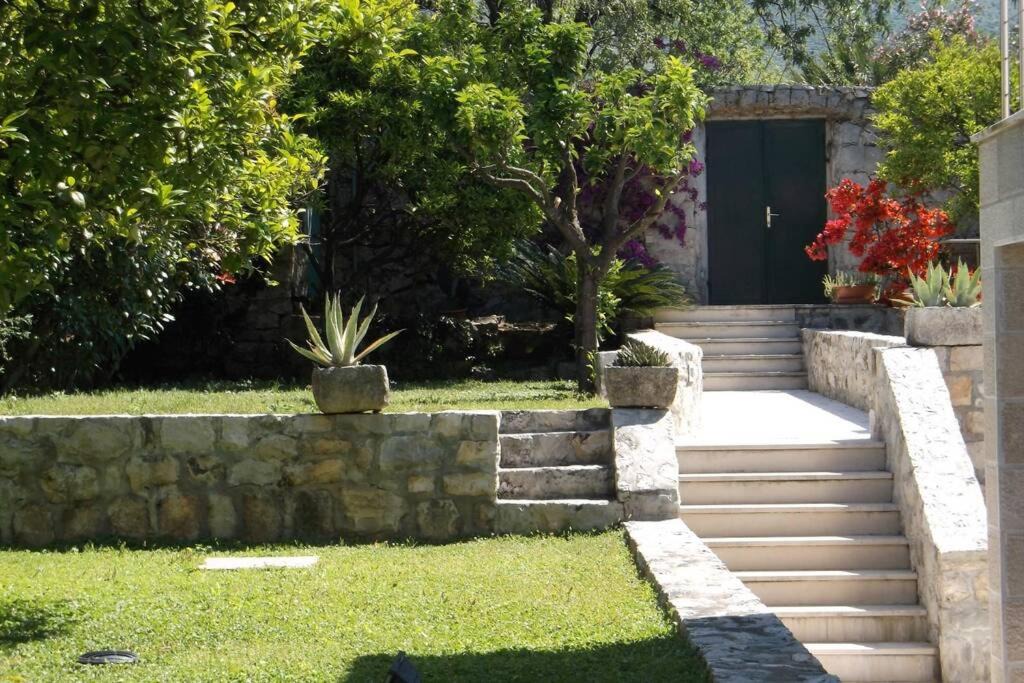 Photo of Others in Cavtat Old Town