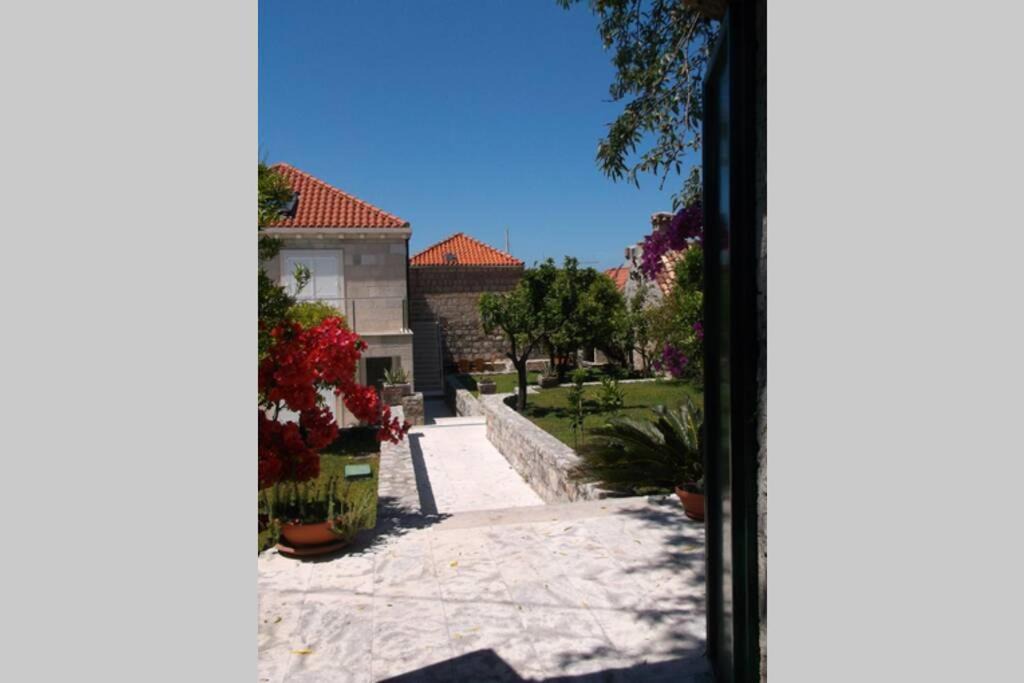 Photo of Others in Cavtat Old Town