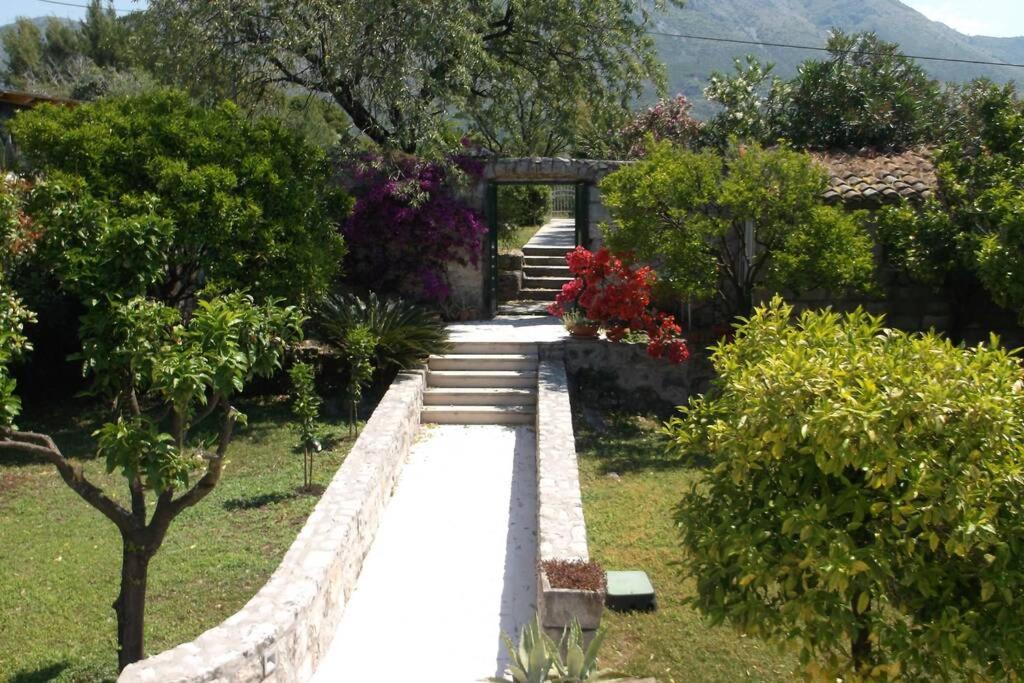 Photo of Others in Cavtat Old Town