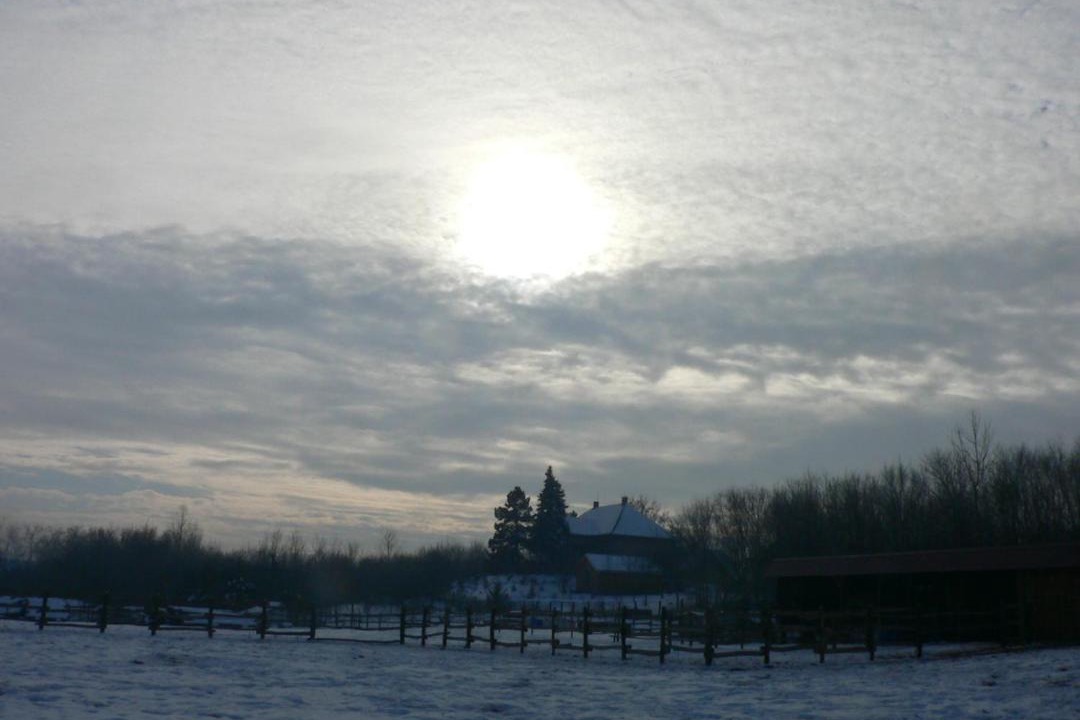 Photo of Outdoor in Lakitelek