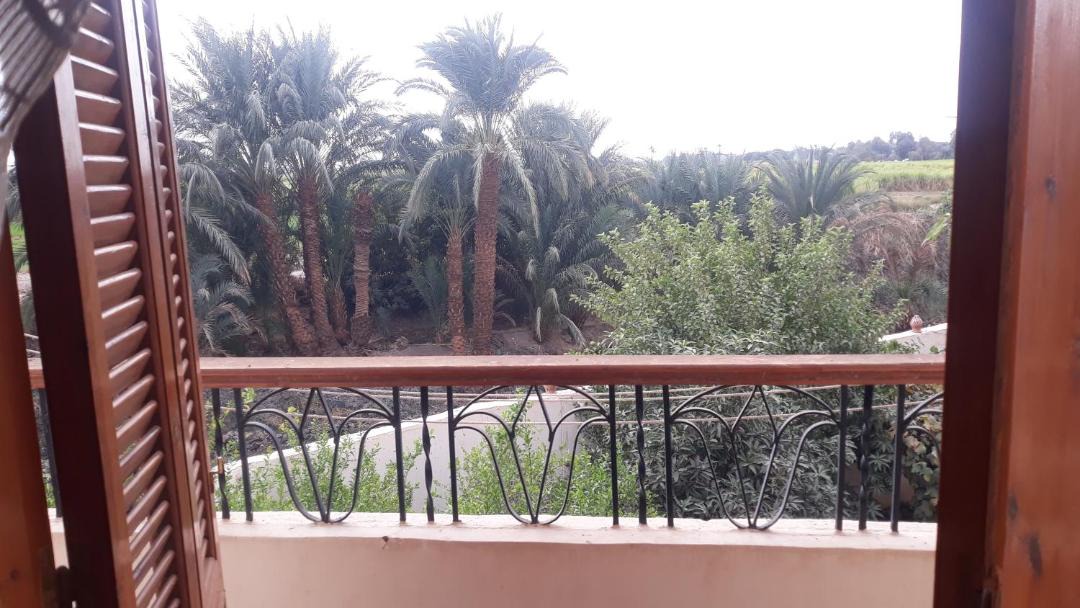 Photo of Others in Luxor