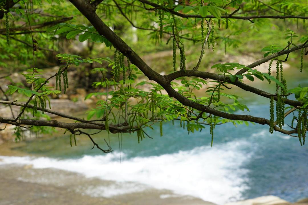 Photo of Others in Anji