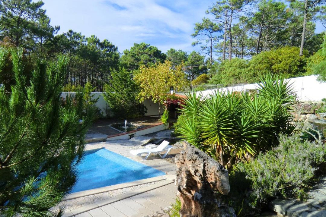 Photo of Outdoor in Pataias