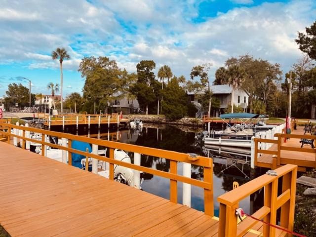 Photo of Others in Homosassa