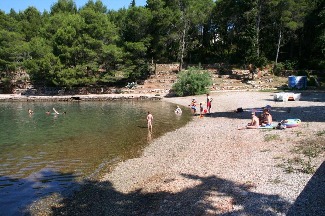 Photo of Others in Stari Grad