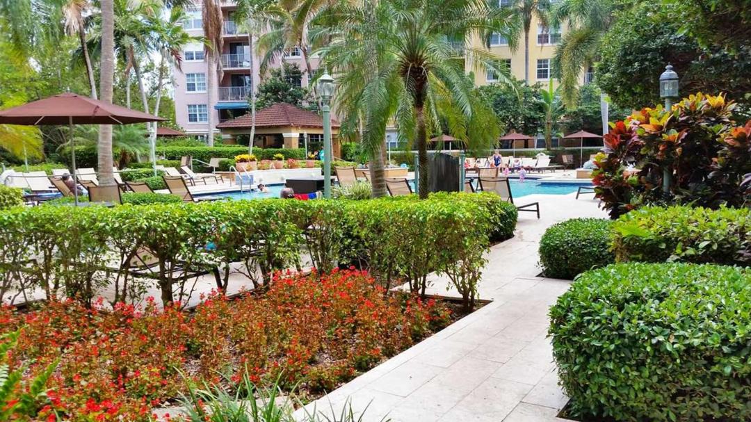 Photo of Others in Aventura