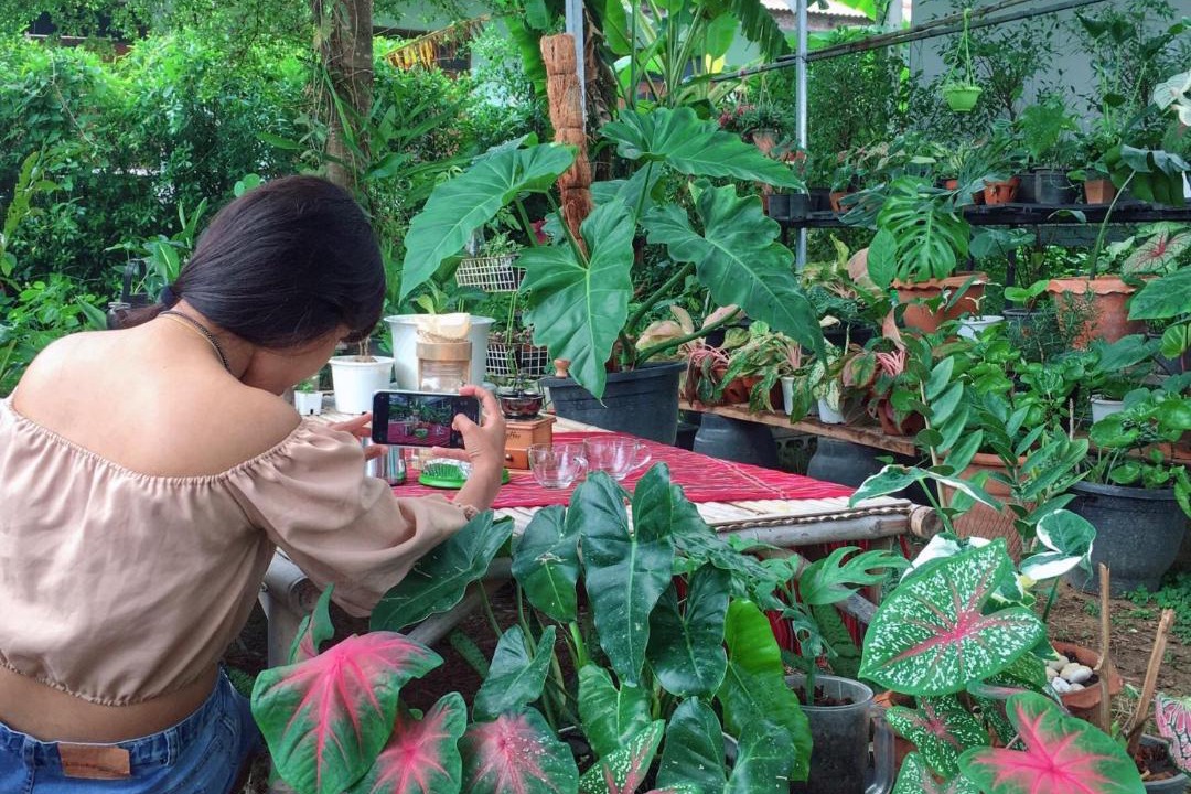 Photo of Human In Picture in Phetchabun