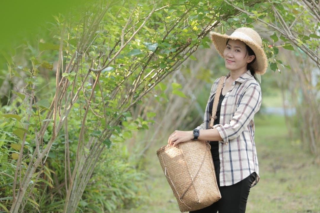 Photo of Human In Picture in Phetchabun