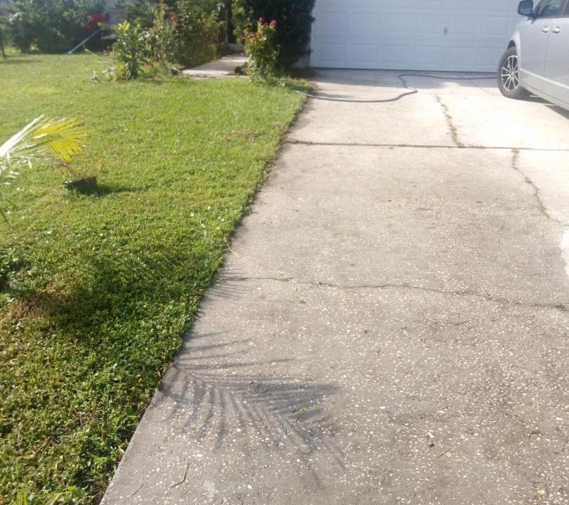 Photo of Others in Poinciana