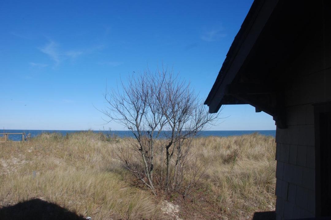 Photo of Others in Cottage Line