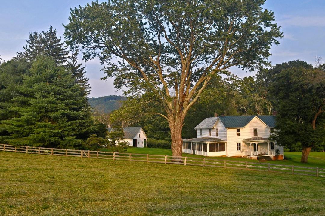 Photo of Others in Woodville