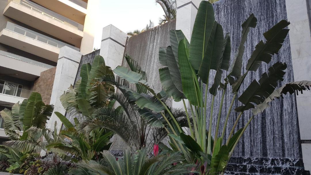 Photo of Buildings in Heliopolis