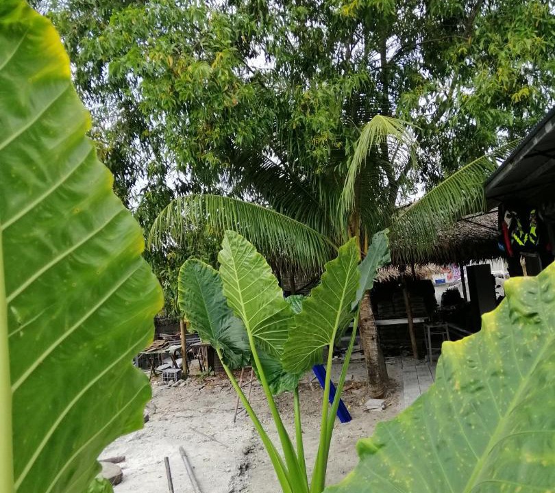 Photo of Others in Tarlac