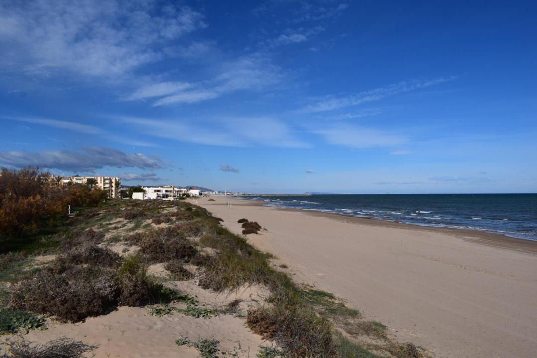 Photo of Outdoor in Oliva