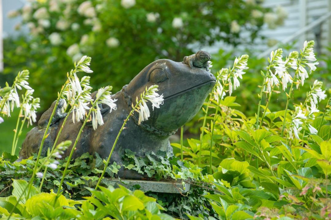 Photo of Others in Yarmouth Port
