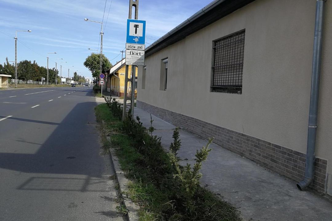Photo of Others in Kecskemet