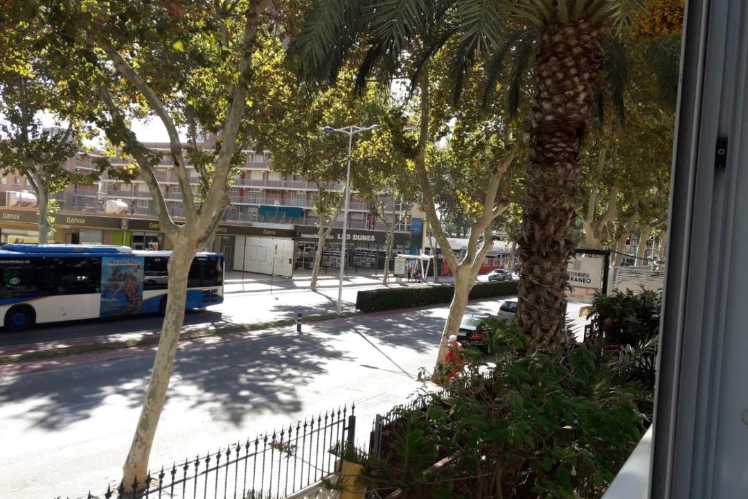 Photo of Others in Benidorm