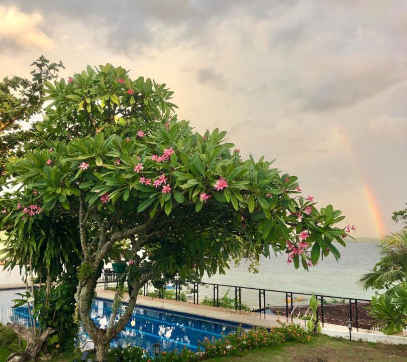 Photo of Others in Moalboal