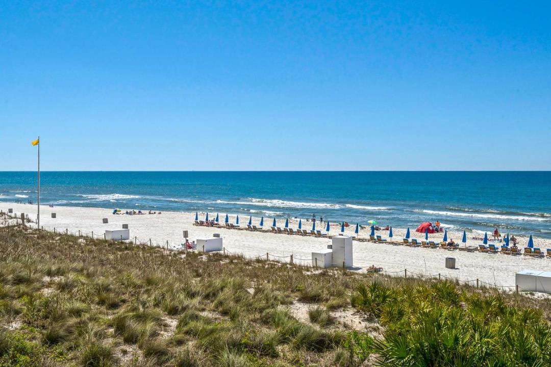 Photo of Outdoor in Panama City Beach