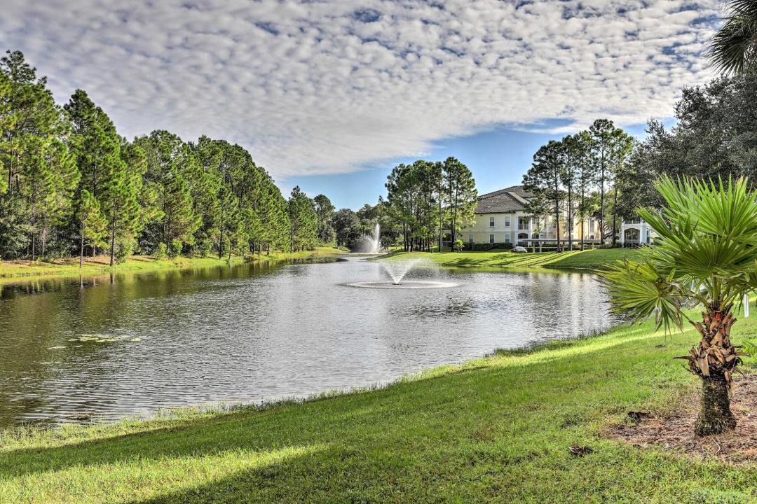 Photo of Others in West Kissimmee
