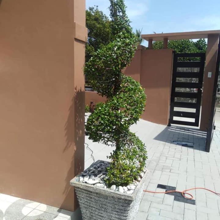 Photo of Patio Balcony in Pilar