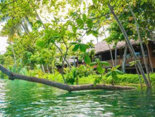Photo of Others in Loboc