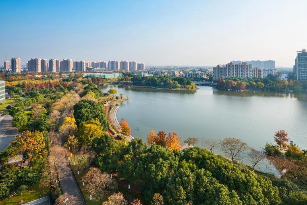 Photo of Others in Qingpu