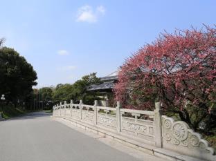 Photo of Outdoor in Jinqiao