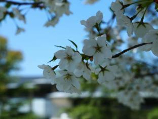 Photo of Outdoor in Jinqiao
