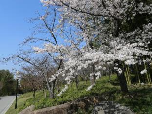 Photo of Outdoor in Jinqiao